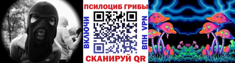 Псилоцибиновые грибы Magic Shrooms  где можно купить наркотик  ссылка на мегу маркетплейс  Волосово 